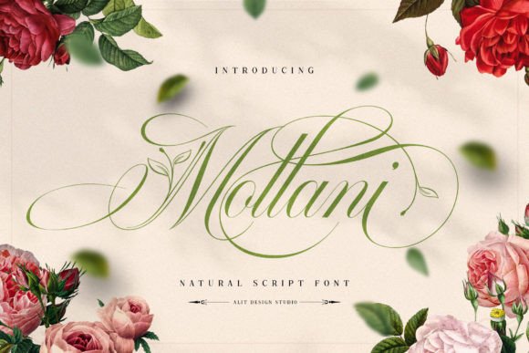 Designing with Nature: The Mollani Font Experience